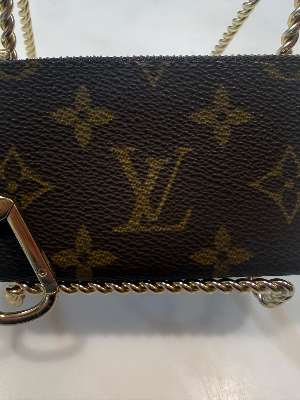 Louis Vuitton Monogram Zip Pouch